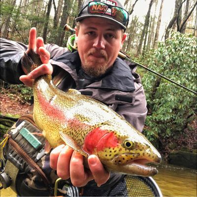 4 HR Guided Fly Fishing (Trout Fishing)