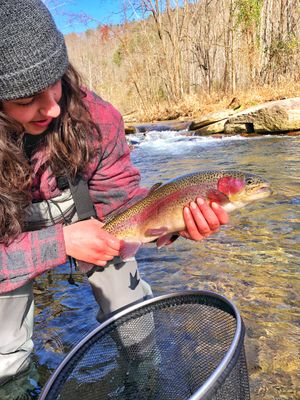 8 HR Guided Fly Fishing (Trout Fishing)