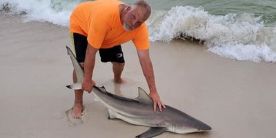 Florida Shark Fishing Trips | Private 8 Hour Charter Trip