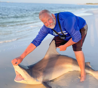 Surf Fishing For Sharks | Private 6 Hour Trips From Navarre Beach To Fort Morgan