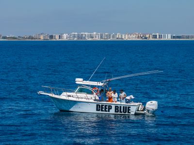 Fishing Charters Boynton Beach | Private - 4 to 8 Hour Trip