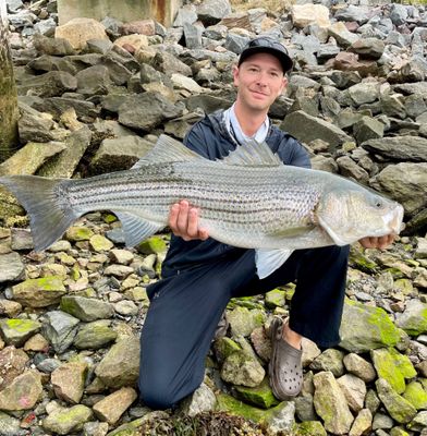 Cape Cod Canal Fishing Trip