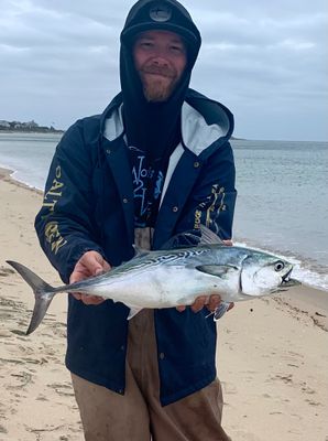 Fall Run Fishing in Massachusetts