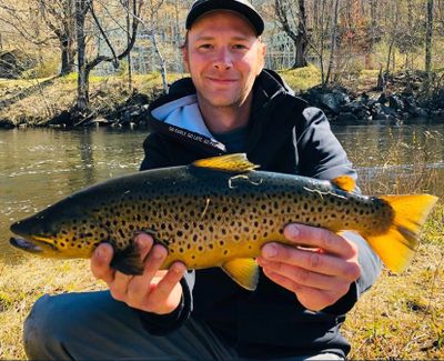 Trophy Trout in Vermont