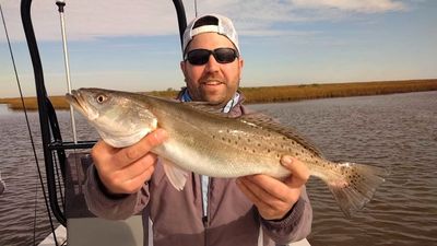 Navigational Adventure in Matagorda Bay or an exhilarating night time adventure under the starlit skies of Matagorda Bay dedicated to the thrilling pursuit of marine life under the bright LED lights illuminate the underwater world of marine life. (Weekday trips by appointment only)