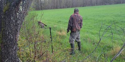 Maine Moose Hunting | Moose Hunting With Lodging And Meals