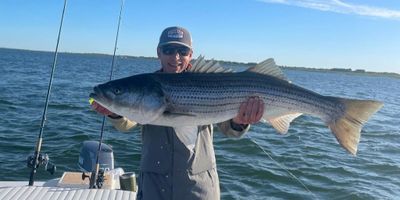 Gloucester Fishing Charter | Half Day Fly Fishing or Light Tackle Trip