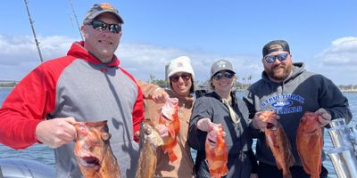 Thrilling San Diego Fishing Charters