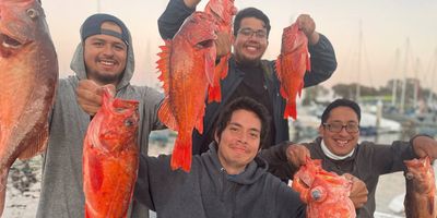 San Diego Fishing Trips