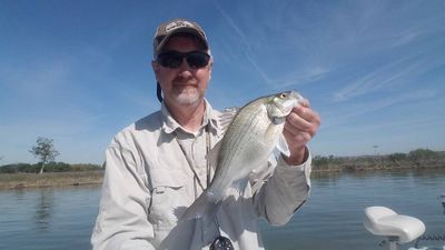 Lake Grapevine Fishing Guide | 4HR and 4 People Max