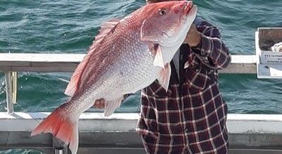 Fishing in Pensacola