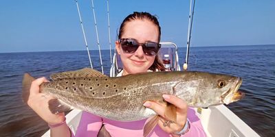 NC Inshore Saltwater Guided Trip (Summertime)