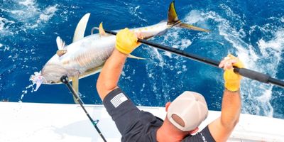 North Carolina Fishing Charter | Full Day Offshore Fishing Trip