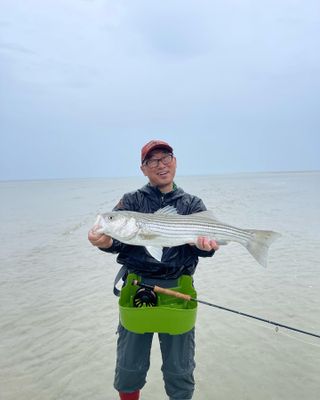 Saltwater flats wading trip (half day / 4 hours)  Location:  Brewster Flats, Cape Cod