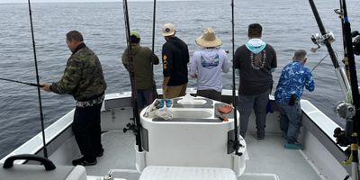 Charter Fishing San Diego | 6HR Offshore Fishing