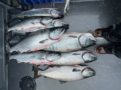 Sitka AK Fishing Charters  | 6-8 HR Private Salmon Charter Trip