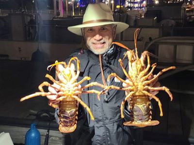 Lobster Hooping-Long Beach, California