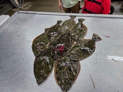 Flounder Gigging Evening Private Fishing Trip In Matagorda 