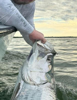 Fishing Charters In Cape Coral | 6 Hour Charter Trip 