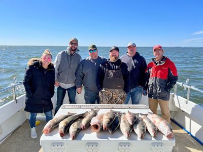 6 Hour- Chesapeake Bay Stiped Bass Fishing- Winter Season- Month of November- (November 1st- December 10th)