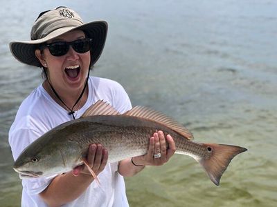 Dawn Delight: Set Sail on a 5-Hour Inshore Bay Fishing Adventure!