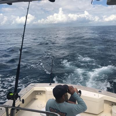 Nearshore Fishing right off the Daytona Beach