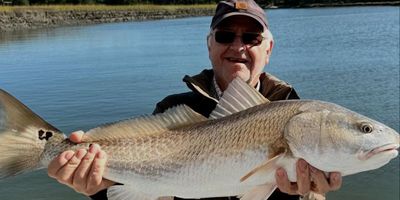 Private 4 To 8 Hour Ocean Reef Fishing Trip In Folly Beach 