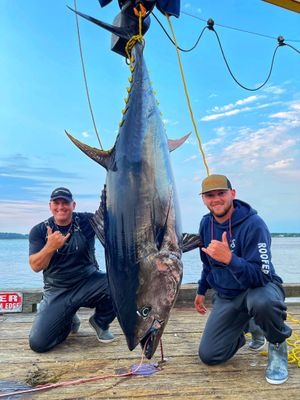 Charter Fishing in Maine | 12 Hour Tuna Fishing