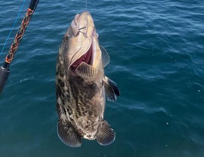 Fort Walton Beach Charter Fishing | 4HR Fishing Trip