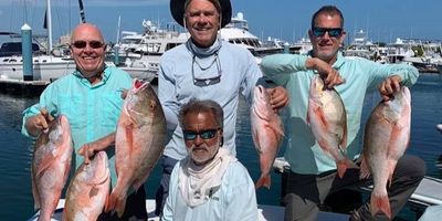 Tarpon Springs Fishing Charter