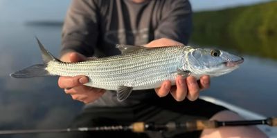 1/2 day fishing charter