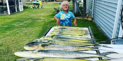 Offshore Blue Water Trolling Charters in North Carolina