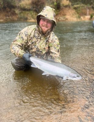 Winter Steelhead 