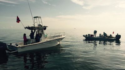 Private Sandbar and Scenic Boat Tour