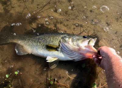 Fishing Charter Jacksonville | 8 Hour Charter Trip 