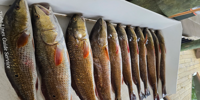 Fishing Guides Port O Connor Texas | 5 Hour Charter Trip 