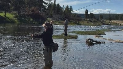 Full-Day Wade Fishing Trips