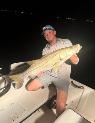 Fishing Charters Sarasota | 4 Hour Charter Trip 