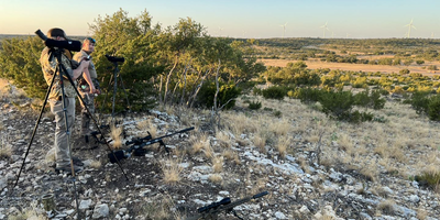 Big Time Exotic Arabian Oryx Hunting Trip In Texas 