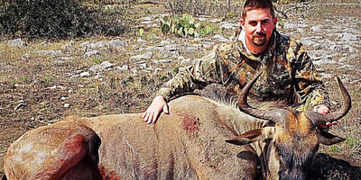 Big Time Exotic Wildebeest Hunting Trip In Texas 