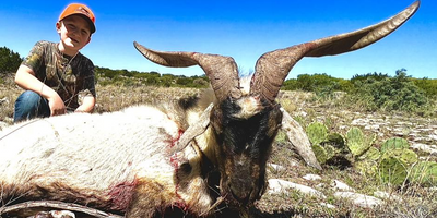 Ram Slam Catalina Hunting Trip In Texas 