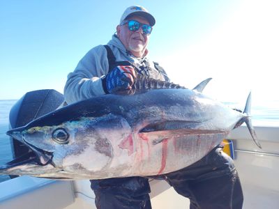 8-10 Hour Offshore Trip – Tuna Fishing