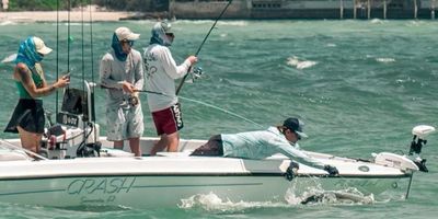 Sarasota Fishing Charters