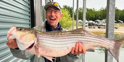 Lake Texoma Striper Fishing