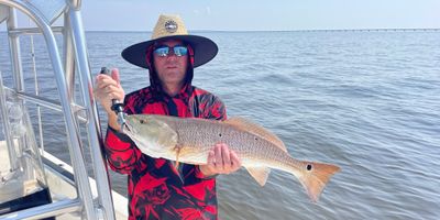 Destin Charter Fishing | Inshore Fishing Trip - May 22 to July 31