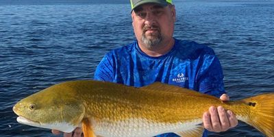 Florida Fishing Charters Destin | 4 Hour Inshore Fishing Daily Trip - May 22 to July 31