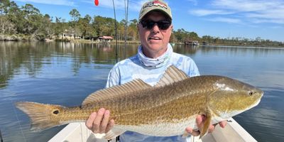 Fairhope Alabama Fishing Charters | 3 to 5 Hour Fishing Adventure 