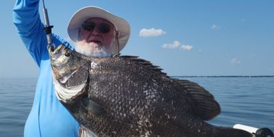 Orange Beach Fishing Charters | 3 to 5 Hour Charter Trips