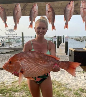 6-Hour Red Snapper Trip—Gulf Shores, AL