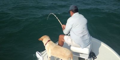 Englewood FL Charter Fishing | 6 or 8 Hour Tarpon Charter Trip 